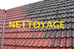 Nettoyage toiture 60 Fortin