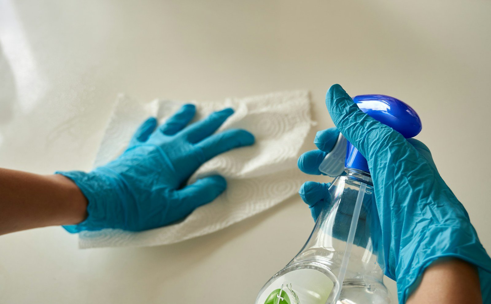 Nettoyage d'une moisissure sur un mur avec des gants de protection
